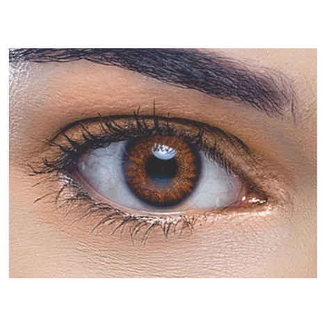 Buy Freshlook 30 Days Colorblends Honey - Purplle