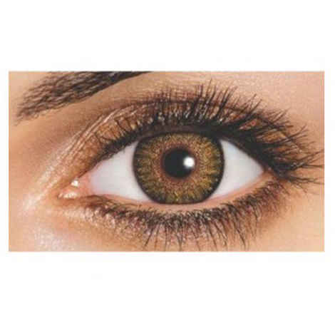 Buy Freshlook One-Day Color Pure Hazel - Purplle