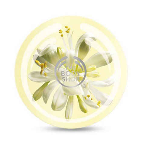 Buy The Body Shop Body Butter Moringa (200 ml) - Purplle