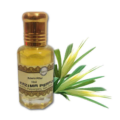 Buy Kazima Kewra Attar Perfume Pure Natural Undiluted (10 ml) - Purplle
