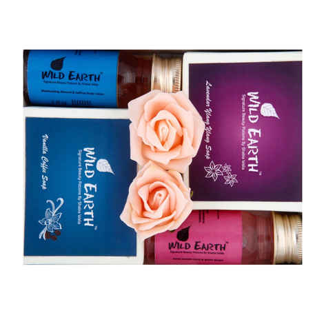 Buy Wild Earth Handmade Natural Soaps Gift Set (300 g) - Purplle