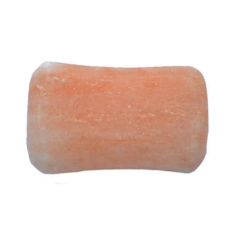 Buy NutroActive Mineral Salt Soap Bar (300 g) - Purplle