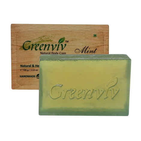 Buy Greenviv Natural Mint Soap (100 g) - Purplle