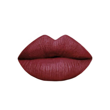Vipera Lipstick Elite Matte 120 Cardinal (4 g)