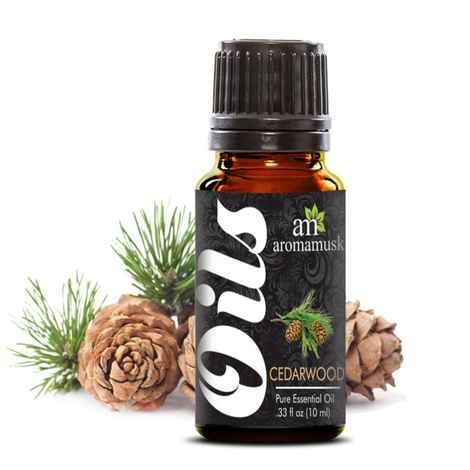 AromaMusk Cedarwood Pure Aroma Essential Oil (10 ml)