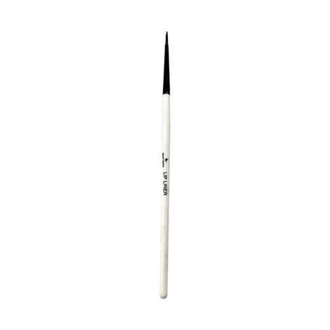 Buy Salon Palette Lip Liner Brush - Purplle