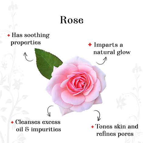 Buy Alps Goodness Hydrating Face Scrub - Rose (29 gm) - Purplle