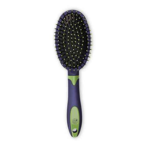Buy TS Signature Cushion Hair Brush - Blue - Purplle
