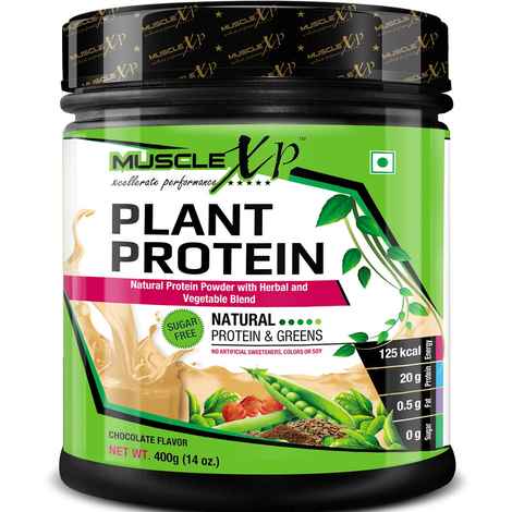 Buy MuscleXP Plant Protein - Natural Protein Powder with Pea Protein, Herbal and Vegetable Blend, 400g (Sugar Free) - Purplle