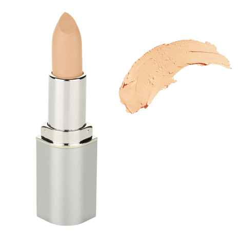 Buy Bonjour Paris Concealer Pan stick - Nude Skin (4.2 g) - Purplle