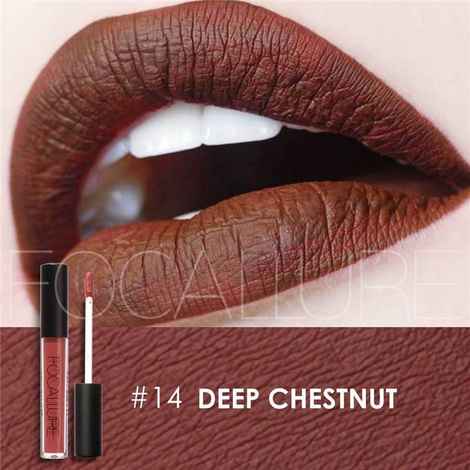 Buy Focallure Matte Liquid Lipstick # Deep Cheshnut FA24#14 - Purplle