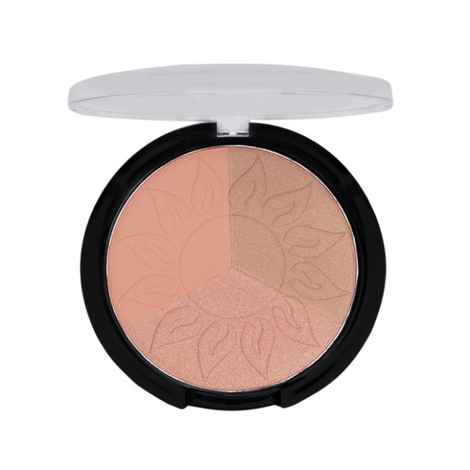 Buy Cameleon 3 Colors Professional Bronzer 02 - Purplle