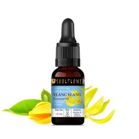 Buy Soulflower Ylang Ylang Essential Oil - Pure, Natural, Undiluted Essential Oil for Skin & Hair Nourishment, Diffusion, Aromatherapy, Ecocert Cosmos Organic Certified 15 ml - Purplle