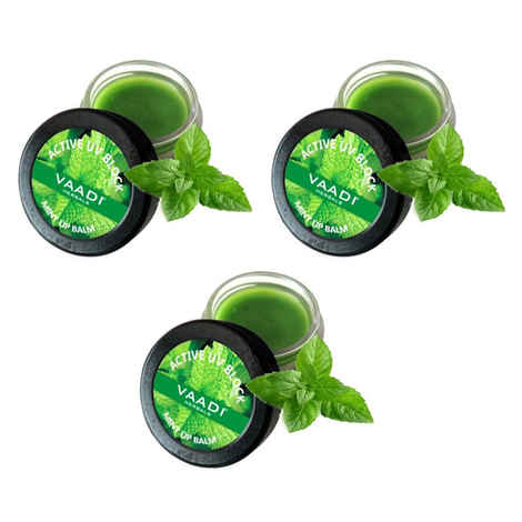 Buy Vaadi Herbals Lip Balm Mint (10 g) Pack of 3 - Purplle