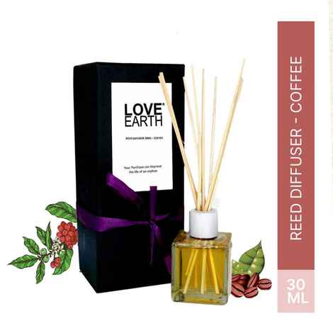 Buy Love Earth Reed Diffuser Coffee Light Fragrance - Purplle