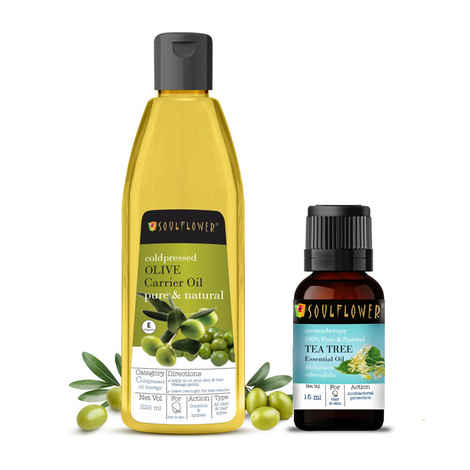 Buy Soulflower Olive Carrier Oil & Tea Tree Essential Oil Combo Combo of 2 - Purplle