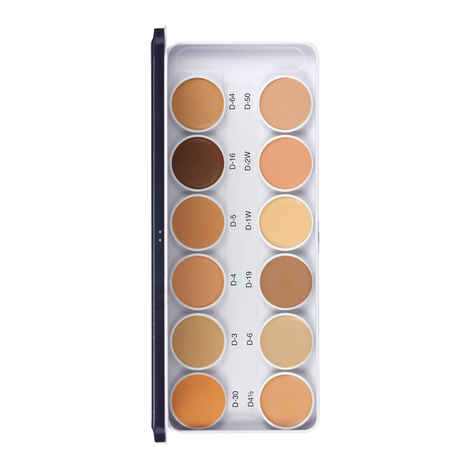 Buy C2P Pro Cover & Conceal Derma Base Foundation Palette (Metal) - 1.4 gm - Purplle