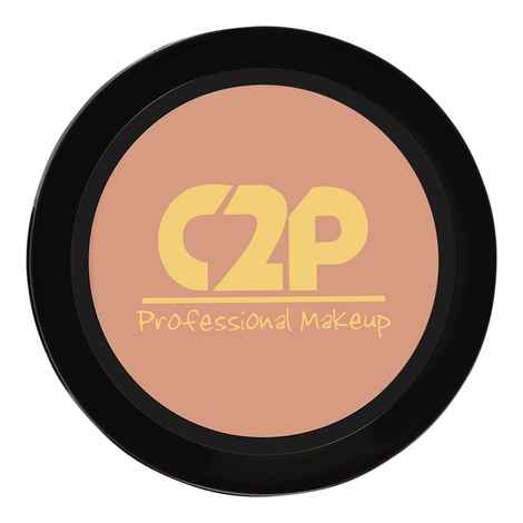 Buy C2P Pro Professional Basic Makeup Eyeshadow Base - Matte - Purplle