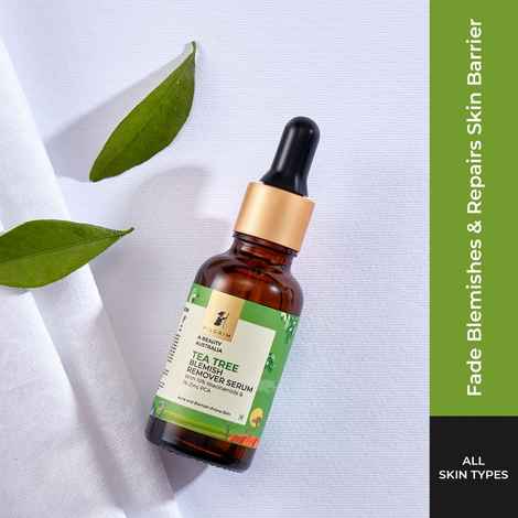 Buy Pilgrim Tea Tree Blemish Remover Serum With 10% Niacinamide 1% Zinc PCA | For Acne Prone SkinWomen & Men, (30 ml) - Purplle