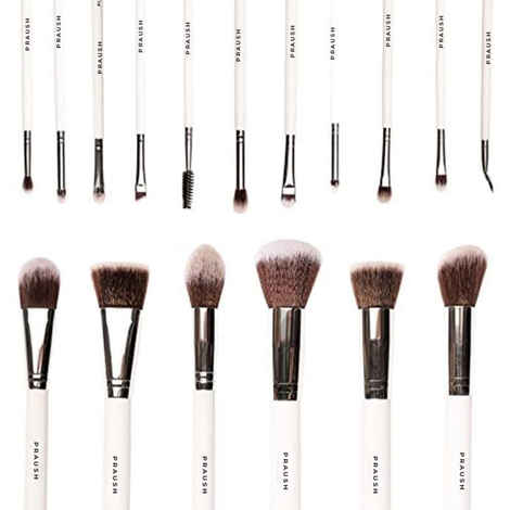 Buy Praush (Formerly Plume) Professional Makeup Brush Set Face & Eyes with Marbelicious Makeup Bag - 16 Pcs - Purplle