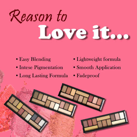 Half N Half 12 in 1 Eyeshadow & Highlighter Makeup Kit, Multicolour Palette-04 (12 gm)