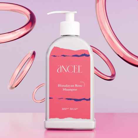 Buy Ancel Natural Himalayan Rose Conditioner| Rose Hydrosol Glycerin, Virgin Olive Oil & Shea Butter | For Volumizing Hair and Deep Cleansing | Natural ingredients| For Men & Women| 300 ml - Purplle