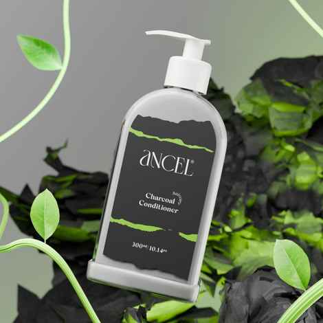 Buy Ancel Natural Charcoal Conditioner with Activated Charcoal Powder, Almond Oil, Jojoba Oil & Shea Butter | For Deep Cleansing & Volumizing Hair | Natural ingredients| Sulphate & Paraben Free | For Men & Women |300 ml - Purplle