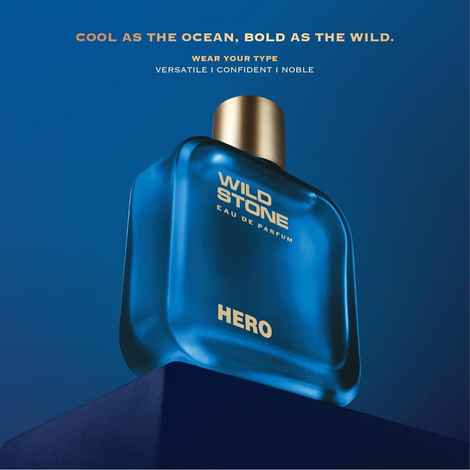 Buy Wild Stone Hero Eau De Parfum - Luxury Perfume for Men 100 ml - Purplle