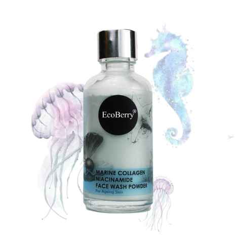 Buy Ecoberry Marine Collagen Face Wash Powder 30 gm - Purplle