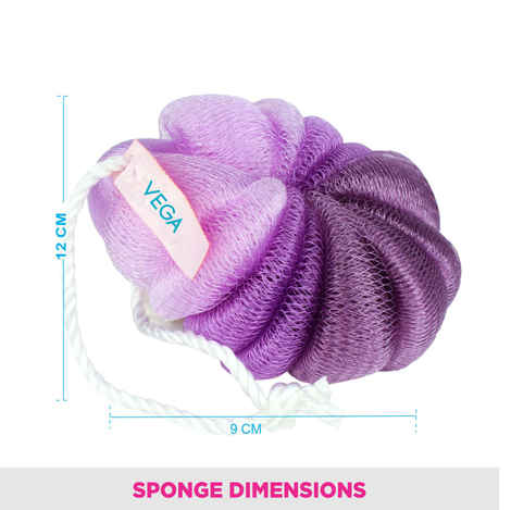 Buy Vega Loofah Pad Small - BA-3/6 - Purplle