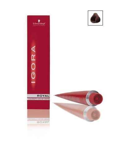 Buy Schwarzkopf IGORA Royal Auburn Red Light Brown 5-68 (60 ml) - Purplle