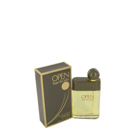 Buy Open Roger & Gallet for Men (100 ml) - Purplle