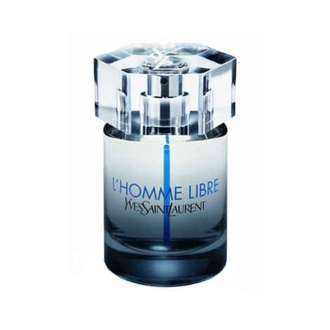 Buy Yves Saint Laurent Libre for Men (100 ml) - Purplle