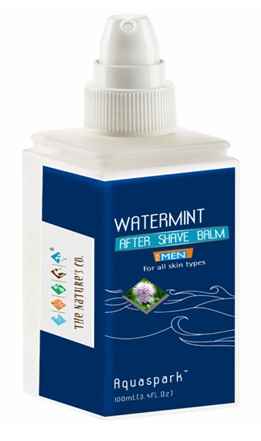 Buy The Natures Co. Watermint After Shave Balm (100 ml) - Purplle