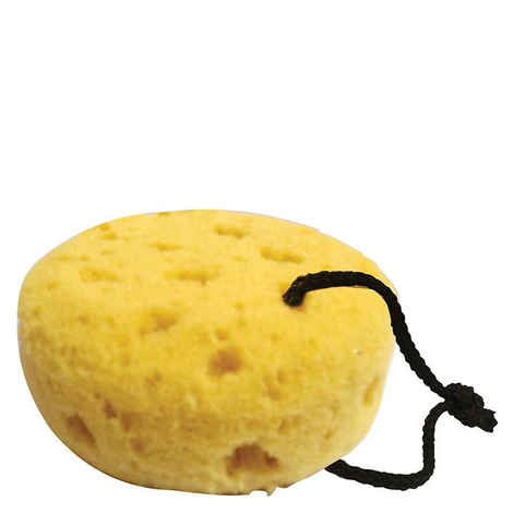 Buy Panache Sea Bath Sponge - Purplle