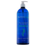 Buy ProteinKera Clarifying Shampoo (1000 ml) - Purplle