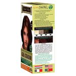 Buy Indus Valley Organically Natural Gel Hair Colour Burgundy 3.6 (276 g) - Purplle