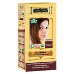 Buy Indus Valley 100% Botanical Organic Healthier Hair Colour Chestnut Brown (182 g) - Purplle