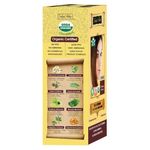 Buy Indus Valley 100% Botanical Organic Healthier Hair Colour Chestnut Brown (182 g) - Purplle