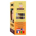 Buy Indus Valley 100% Botanical Organic Healthier Hair Colour Chestnut Brown (182 g) - Purplle