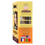 Buy Indus Valley 100% Botanical Organic Healthier Hair Colour Blonde (182 g) - Purplle