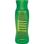 Buy Dabur Vatika Hair Oil (300 ml) - Purplle