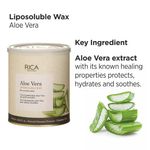 Buy Rica Aloe Vera (800 ml) - Purplle