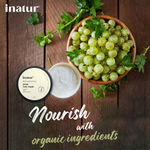 Buy Inatur Amla Hot Oil Treatment (200 g) - Purplle