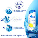 Buy Head & Shoulders Shampoo Lemon Fresh - Purplle