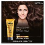 Buy L'Oreal Paris Hair Expertise Oil Replacement Cream (100 ml) - Purplle