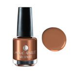 Buy Lakme Absolute Gel Stylist Nail Color Bronze Shine (15 ml) - Purplle