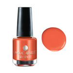 Buy Lakme Absolute Gel Stylist Nail Color Spring Papaya (15 ml) - Purplle