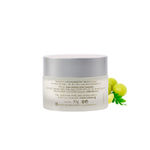 Buy Lotus Professional PhytoRx Whitening & Brightening Night Cream | All skin types | Night Repair cream | 50g - Purplle