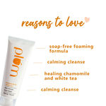 Buy Plum Chamomile & White Tea Skin Revival Face Wash (75 ml) - Purplle